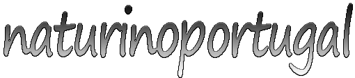 Naturinoportugal